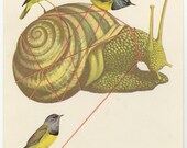 Escargot.  Original collage by Vivienne Strauss.