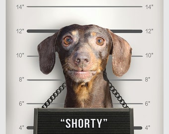 NEW, Custom Pet Portrait, Pet Shaming, Pet Mugshot, Pet Line-up, Funny Gift, Fast Gift, HILARIOUS