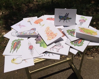 Stationary-5 Pack Assorted-Choose 5 different designs