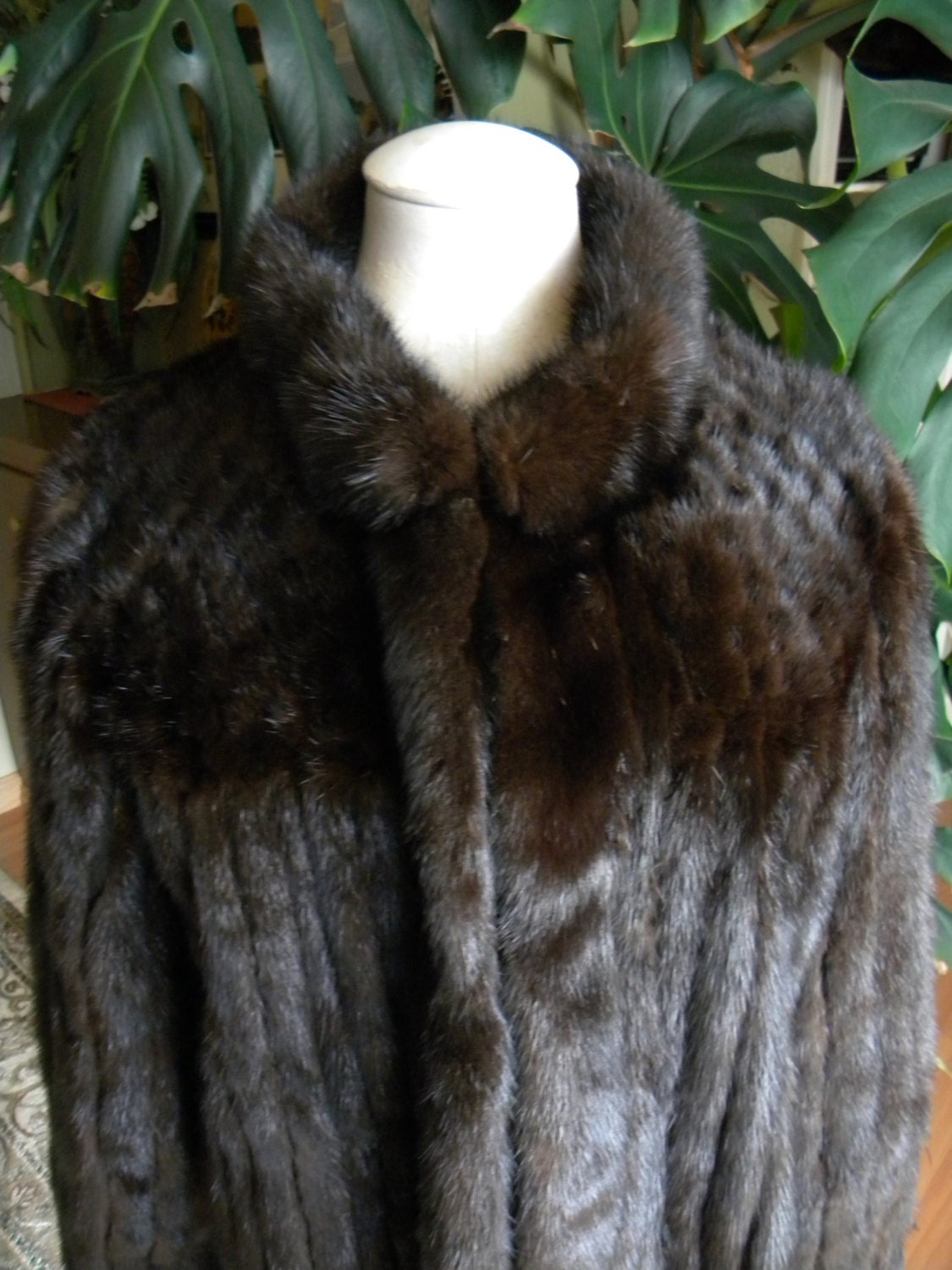 Shopping For Fur Coats Learn to Tell a Rabbit from a Mink