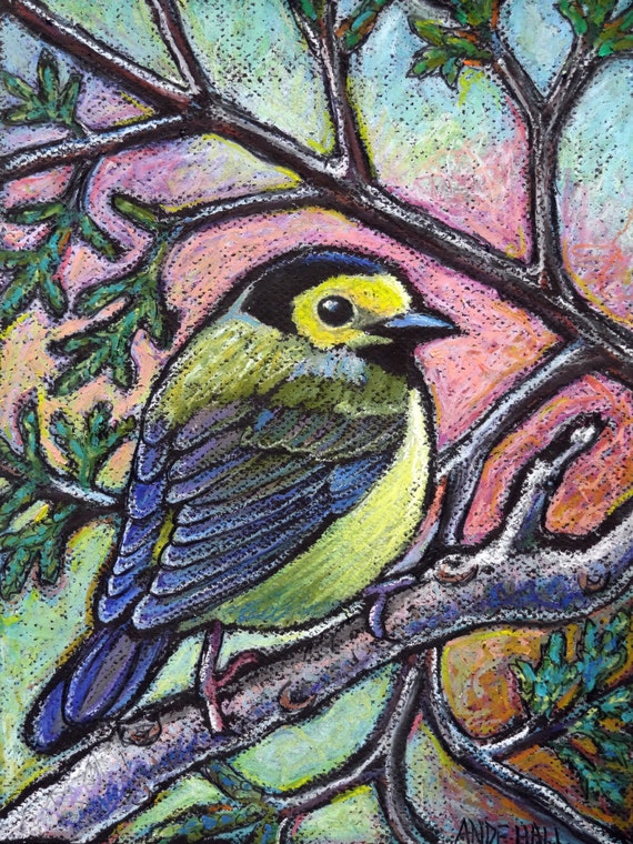 9x12 Original Oil Pastel Bird Painting Hooded by AndeHallFineArt