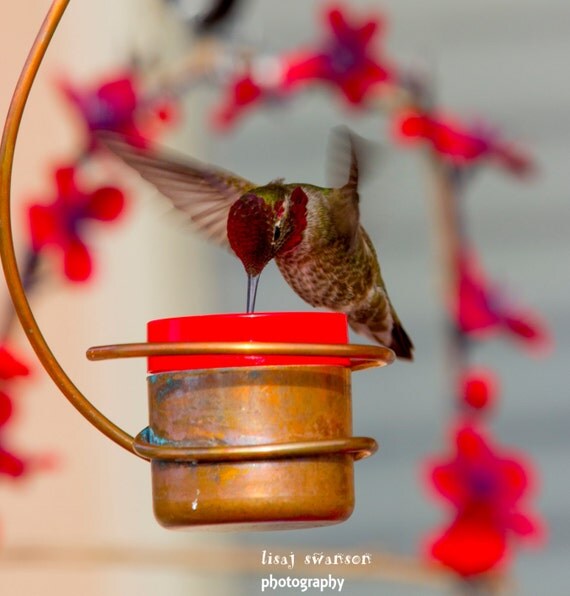 bee proof drip free copper hummingbird feeder by bee proof drip free copper hummingbird feeder by