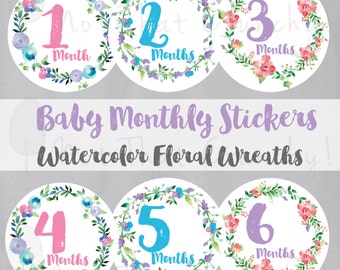 Baby Monthly Growth Stickers - Milestone Bodysuit Stickers - Floral Watercolor Photo Stickers - Floral Baby Month Stickers (MS02)