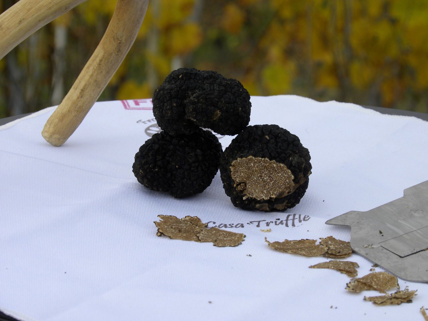 Fresh Truffles by CasaTruffle on Etsy
