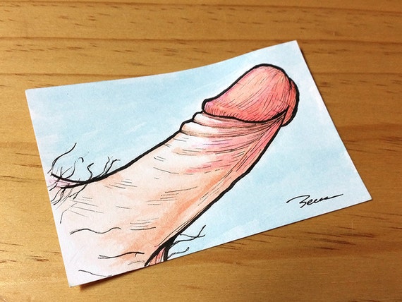 Drawing Of Penis 14