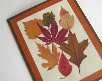 Real Pressed Fall Leaf Greeting Card Reds Golds and Browns Blank Inside