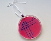Petri Dish Ornament G13: Pink with Purple Streaked Bacteria
