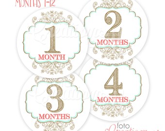 RTS Round Baby Girl Monthly Bodysuit Stickers, Glitter+Gold Milestone Collection - Sets of 4 months or All 1-12 Months