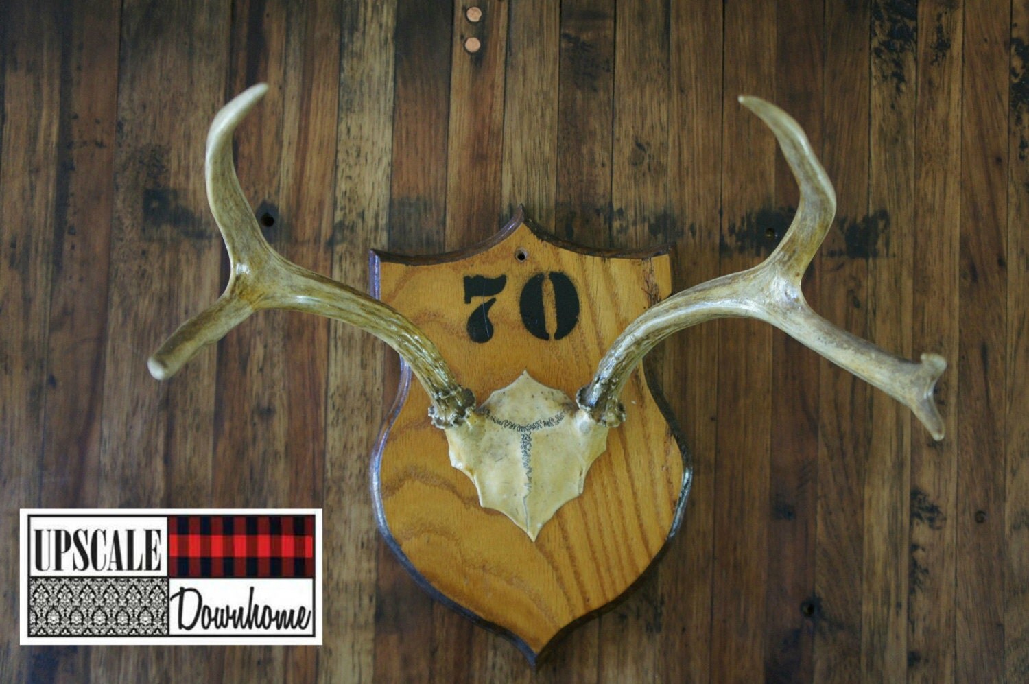 Vintage Antler Mount Plaque 1970 Unique Taxidermy Woodland