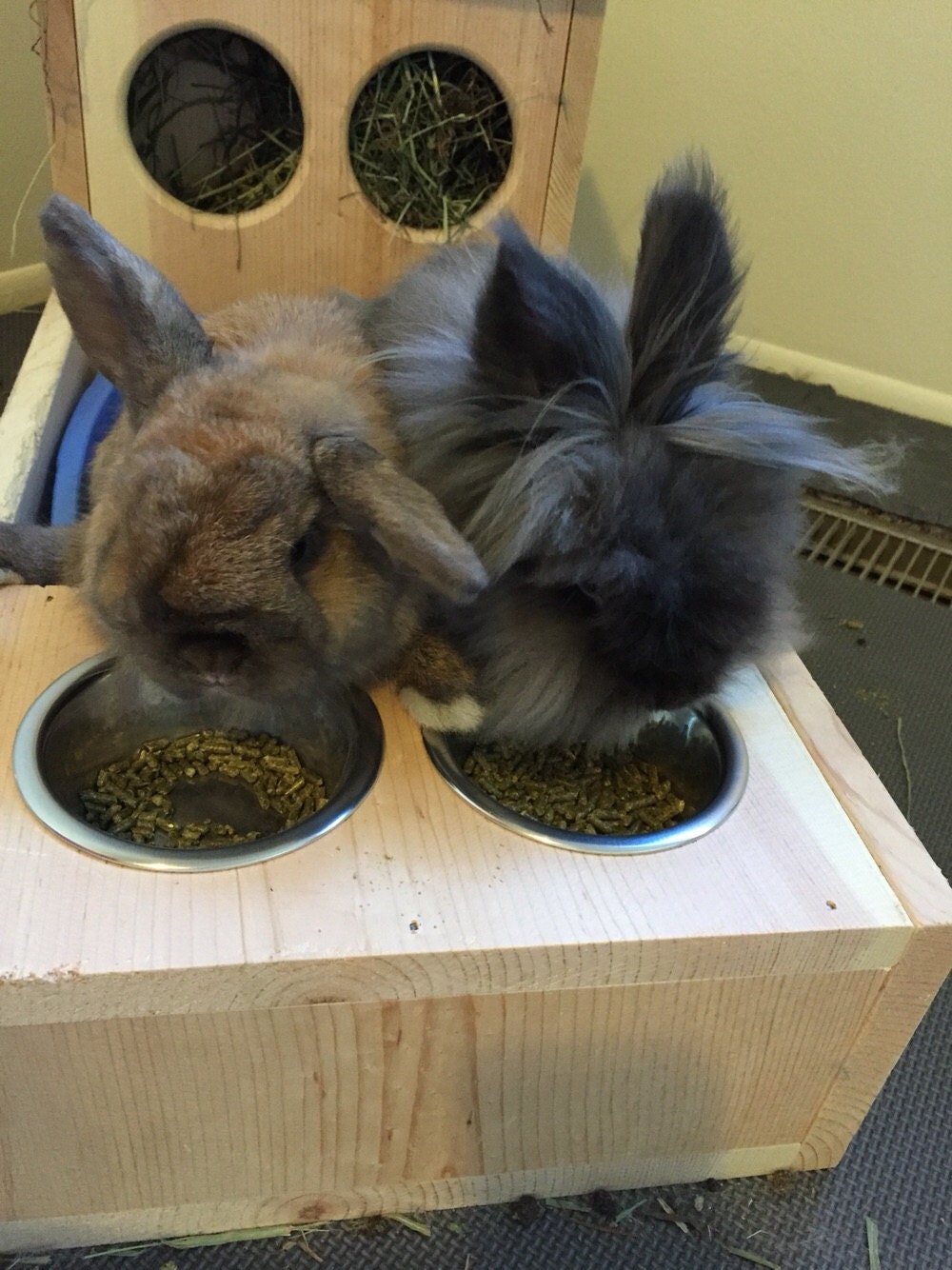 Bunny Rabbit Hay Feeder With Built in Litter Box and Food and