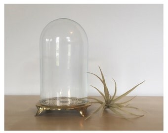 Vintage Glass Display Dome with Brass Base