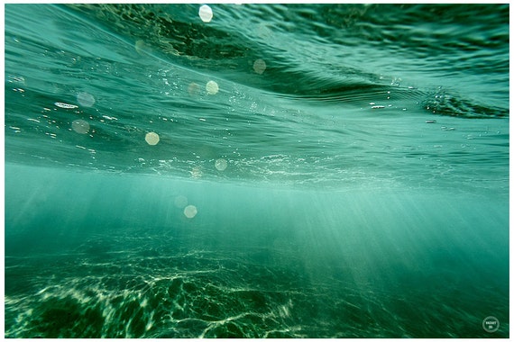 Underwater Photography Aqua Sea PhotoAbstract Sea PhotosSea