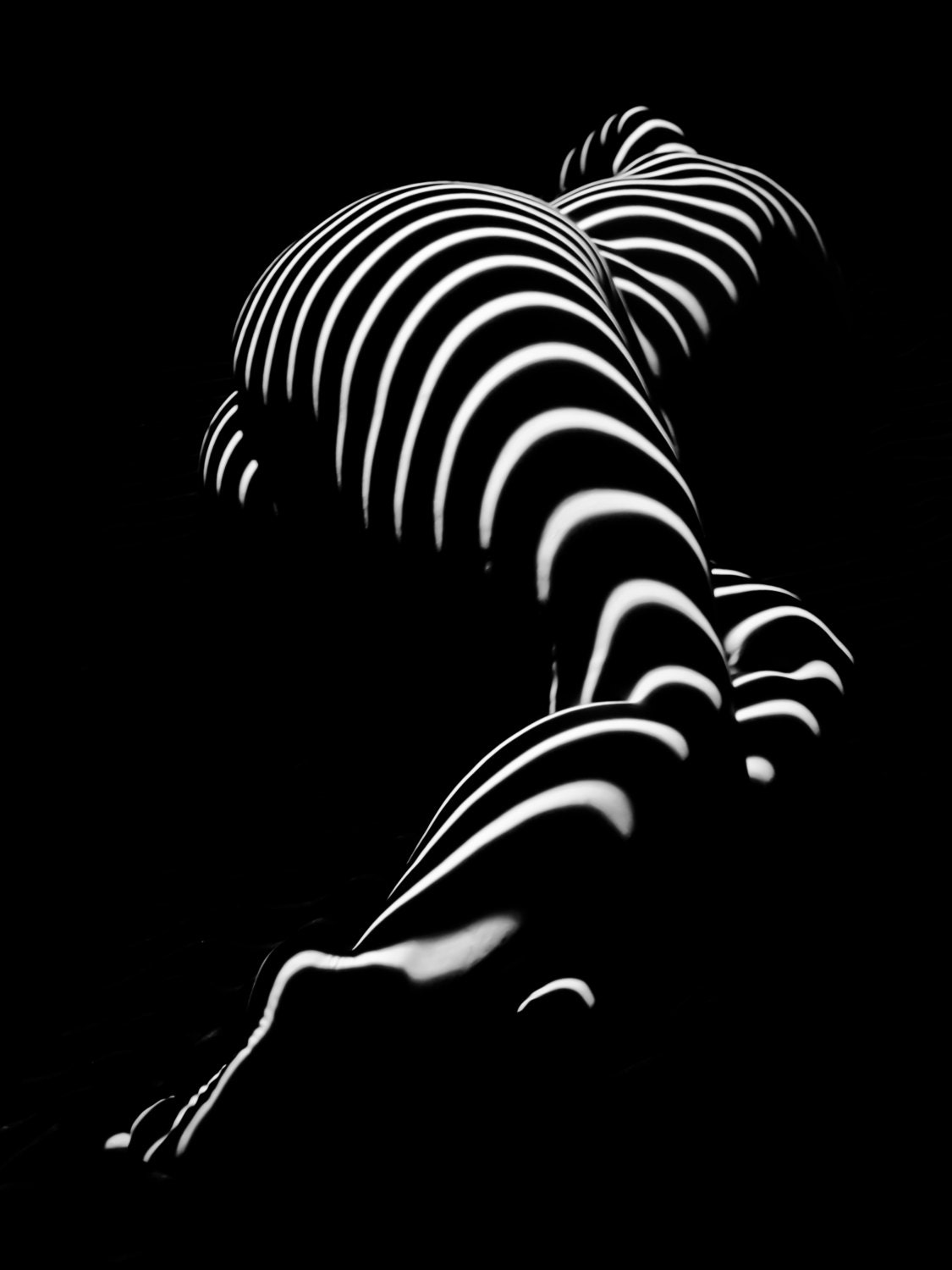 H Stripe Series One Sensual Zebra Woman Abstract Black White Nude 1 to 3 Ratio Photograph by 