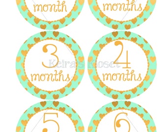 Mint & Gold Baby Month Stickers, Baby Girl Month Stickers, Baby Milestone Stickers, Milestone Stickers, Baby Month Stickers