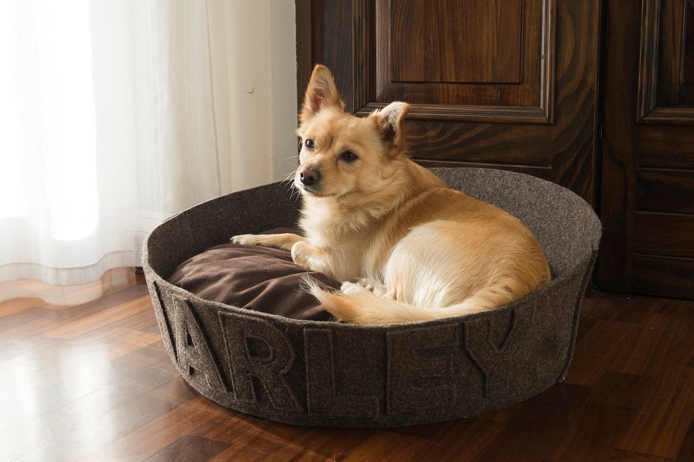 Dog bed Organic pet bed Modern Custom dog bed Dog house Dog