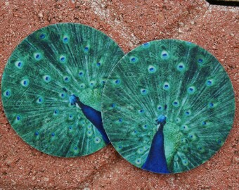 Peacock Car Coaster