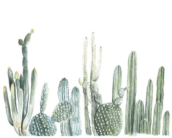Horizontal Cactus Print cactus painting by FoxHollowDesignCo