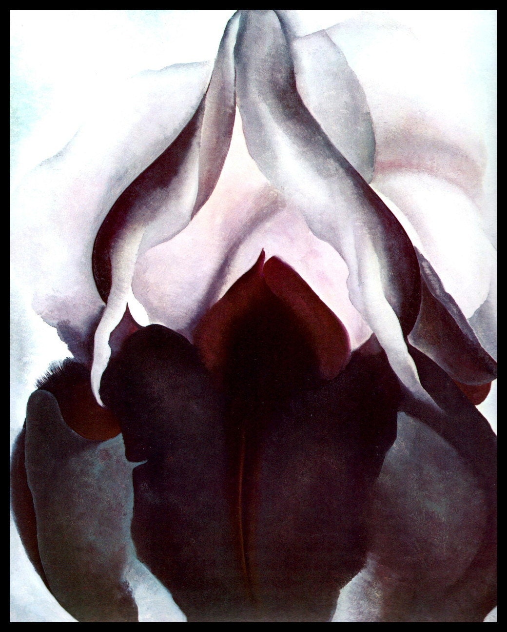 O'Keeffe Print Black Iris Original Vintage Book Color