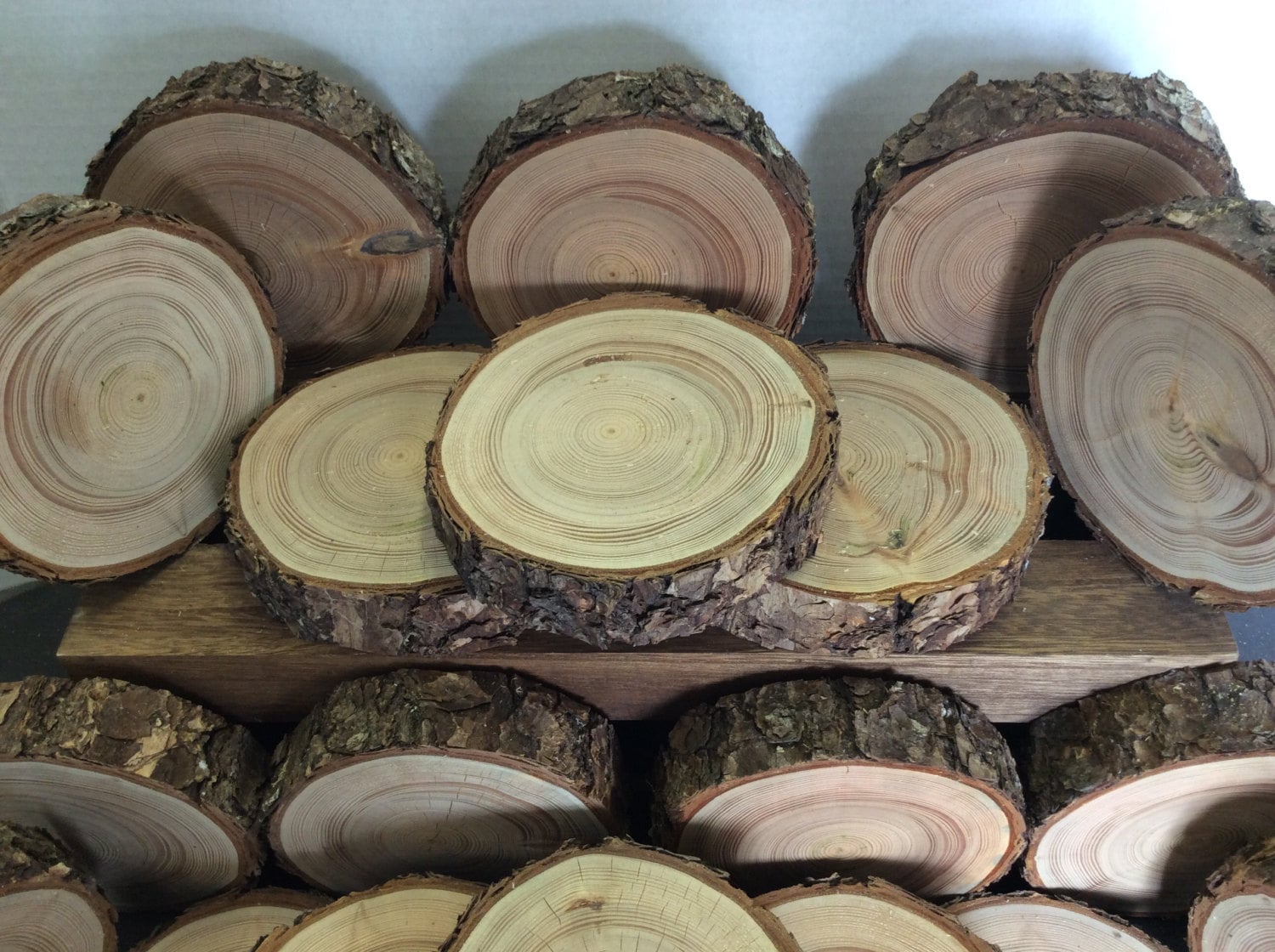 45 wood Slice Large Wood Slice Wood
