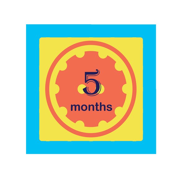 Baby Girls milestone iron ons.