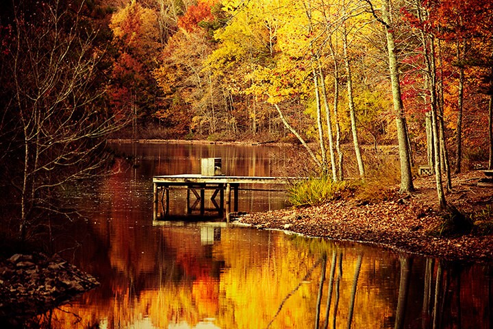 on golden pond essay on golden pond essay
