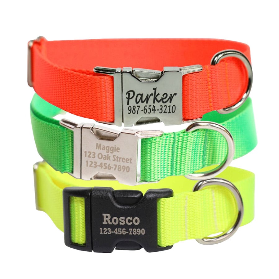 Laser Engraved Dog Collar Hunting Dog Collar Personalized