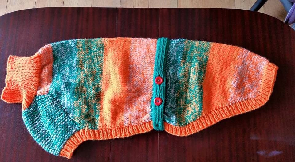 Whippet Coat Knitting Pattern Free UK Postage by greyhounds4me