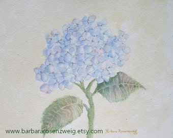 Hydrangea Wall Art shabby chic decor blue hydrangea photo hydrangea wall decor Hydrangea Wall Art shabby chic decor blue hydrangea photo hydrangea wall decor