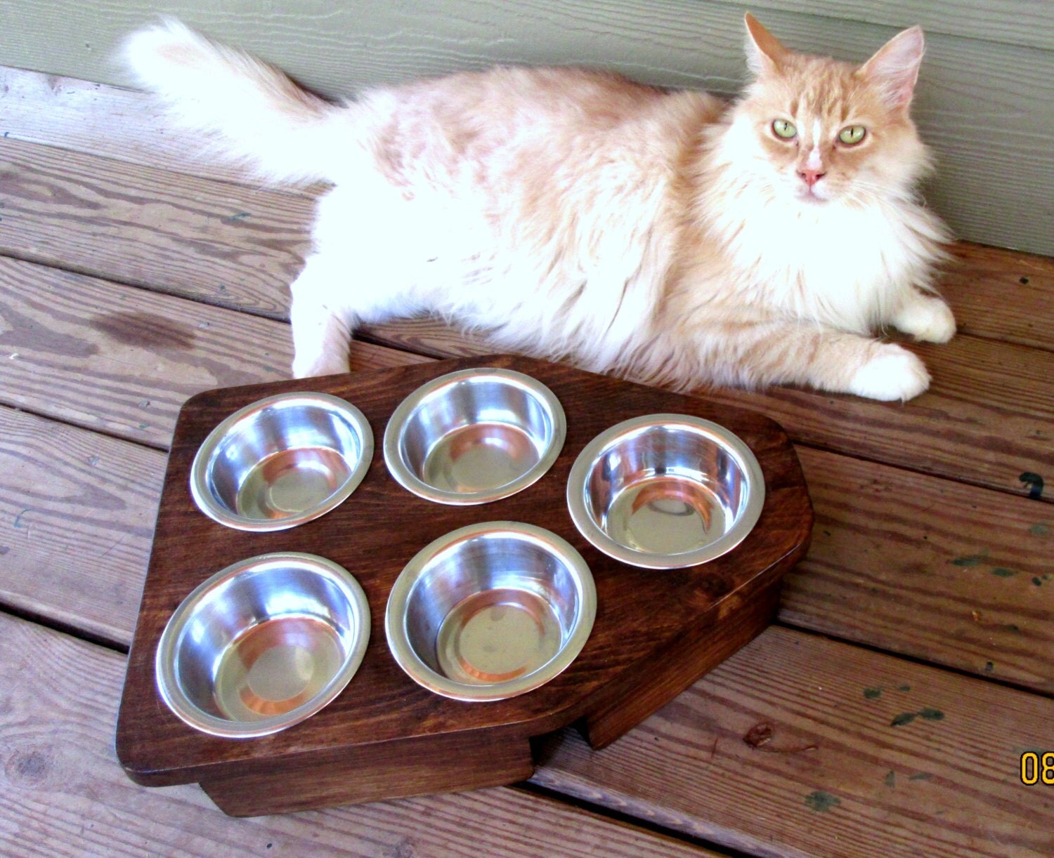 Raised Pet Feeder Elevated Cat Feeder Cat by WoodyToolWorks