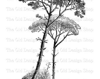 Pine tree stencil | Etsy
