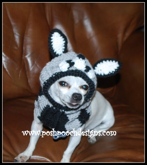 for crochet pattern dogs snood poshpoochdesigns Crochet Instant by Download Dog Raccoon Snood