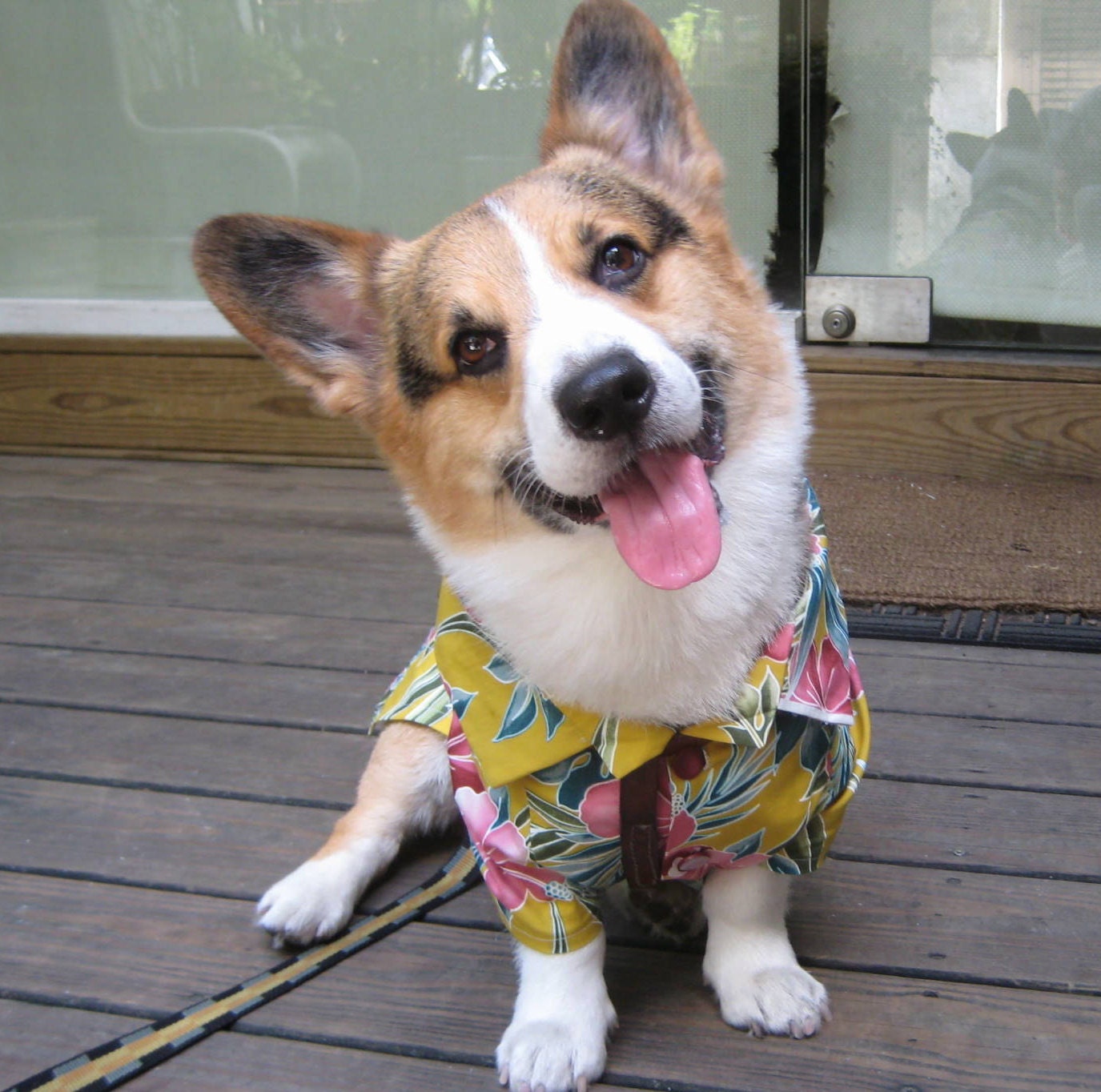 Handmade bespoke Corgi Dog clothes by CorgiKuriandFriends on Etsy