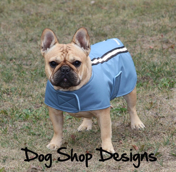 Last one French Bulldog Slate Rain Jacket with reflective