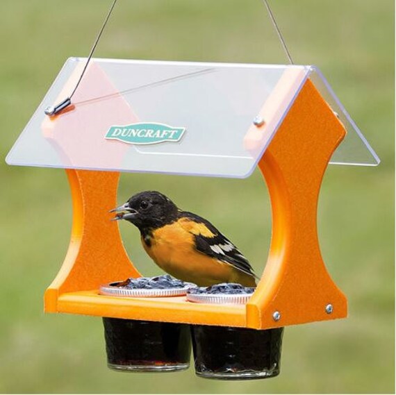 Eco-Jelly Oriole Feeder