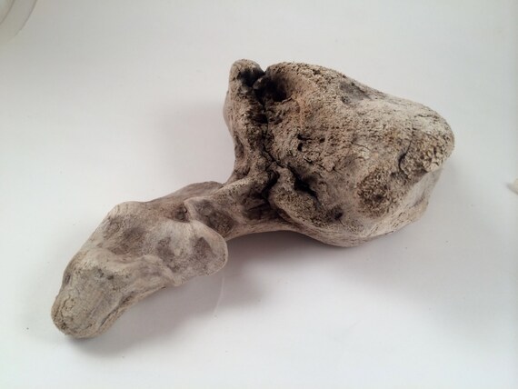 Items similar to Sculptured Driftwood Aquarium Driftwood 