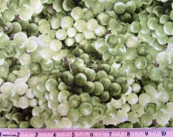 Realistic Fruit Green Grapes Fabric From RJR