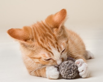 Organic Wool Dust Bunnies Cat Toy
