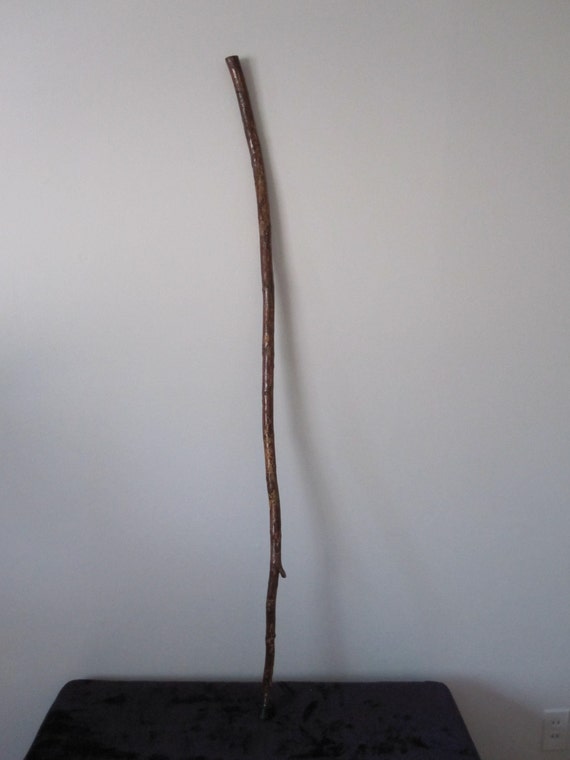 Walking Stick Walking Staff Magick Staff Magic By Shortshaman