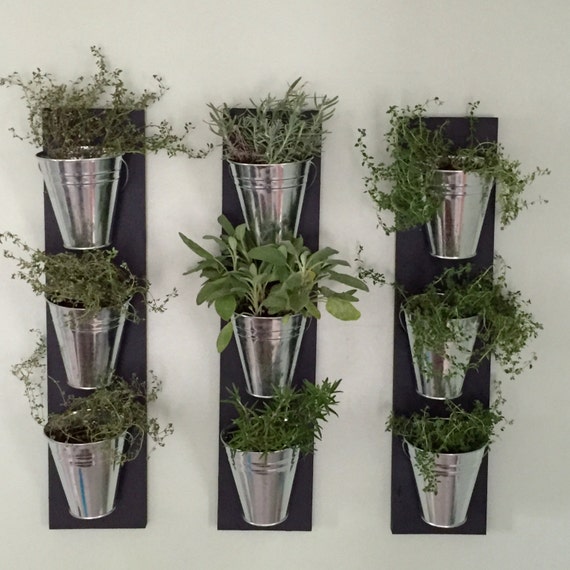  Indoor  Wall  Planter  by HomeOniship on Etsy