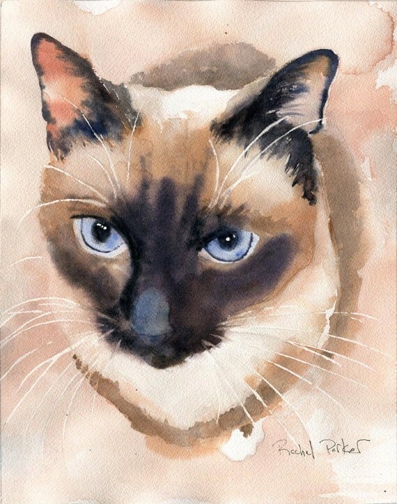print applehead siamese cat art print of a watercolor painting print applehead siamese cat art print of a watercolor painting