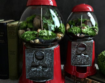 Terrarium / Carousel Gumball Machine Upcycled Recycled