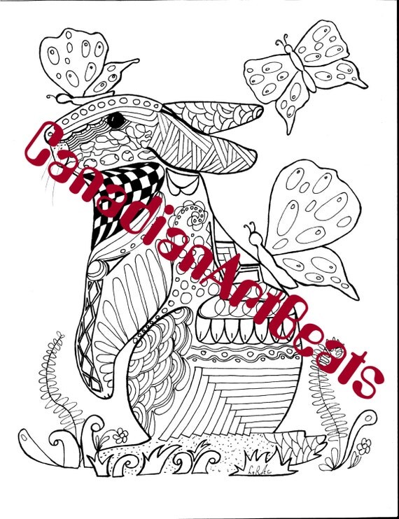 Bunnyflies Bunny Butterfly Coloring Page by CanadianArtBeats