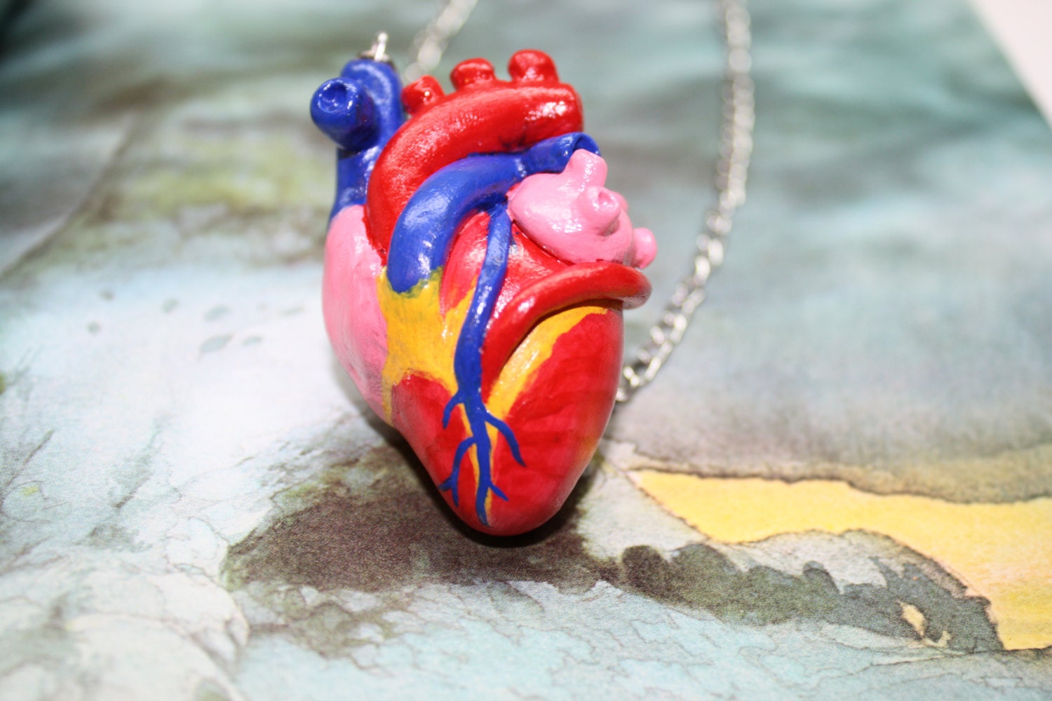 Anatomical Heart Necklace Handmade Polymer Clay by Exgalabur