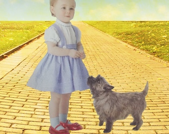 Wizard of Oz Dorothy Dress Costume Sizes Baby to Toddler 4