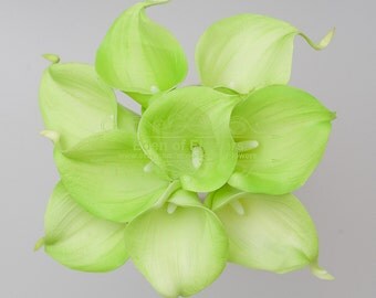 Real Touch Green Calla Lilies for Wedding Bridal Bouquet Home Decoration Centerpieces