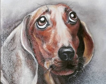 Dear friend. Portrait of a dachshund