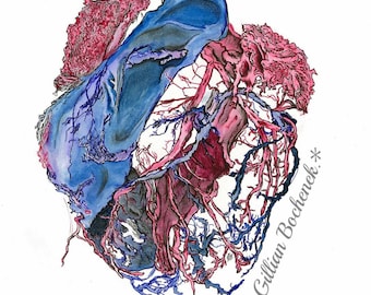Arteries and Veins Around the Heart