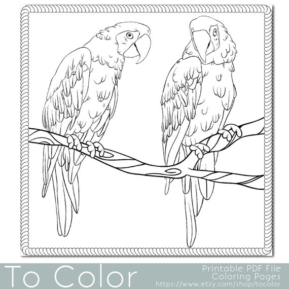 Items similar to Parrots Coloring Page for Adults, PDF / JPG, Instant