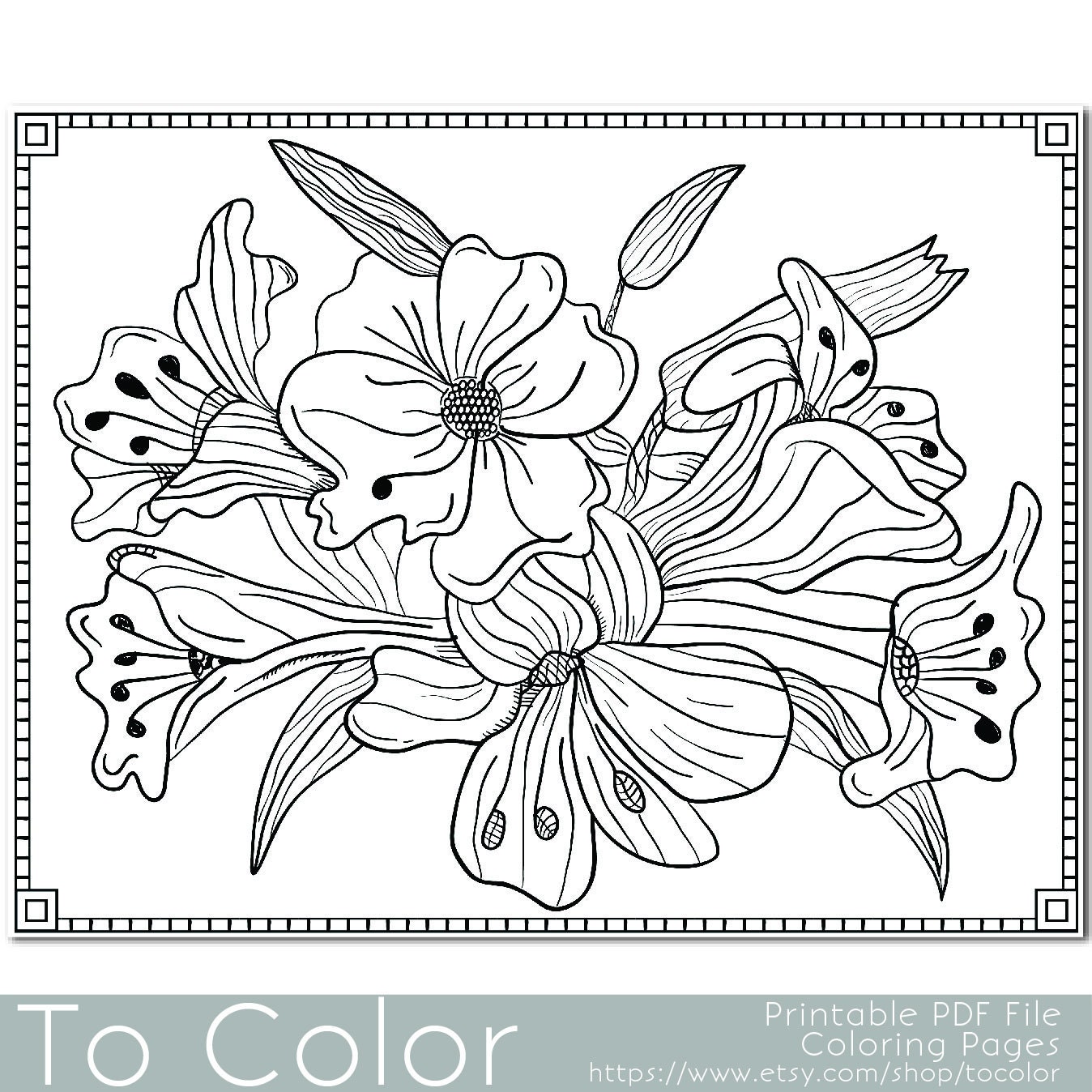 Download Flower Lilies Floral Coloring Page for Adults PDF / JPG