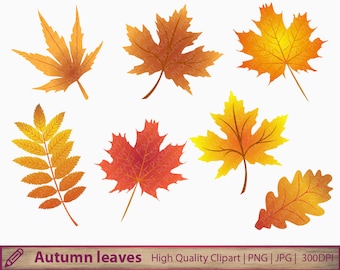 Autumn leaves clipart, autumn leaves clipart, commercial use, scrapbooking, digital instant download, jpg png 300dpi